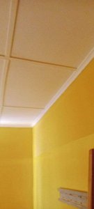 One room for rent in ellain brittel