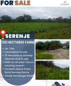 Farm for sale