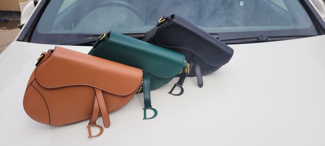 Christian dior saddle bag